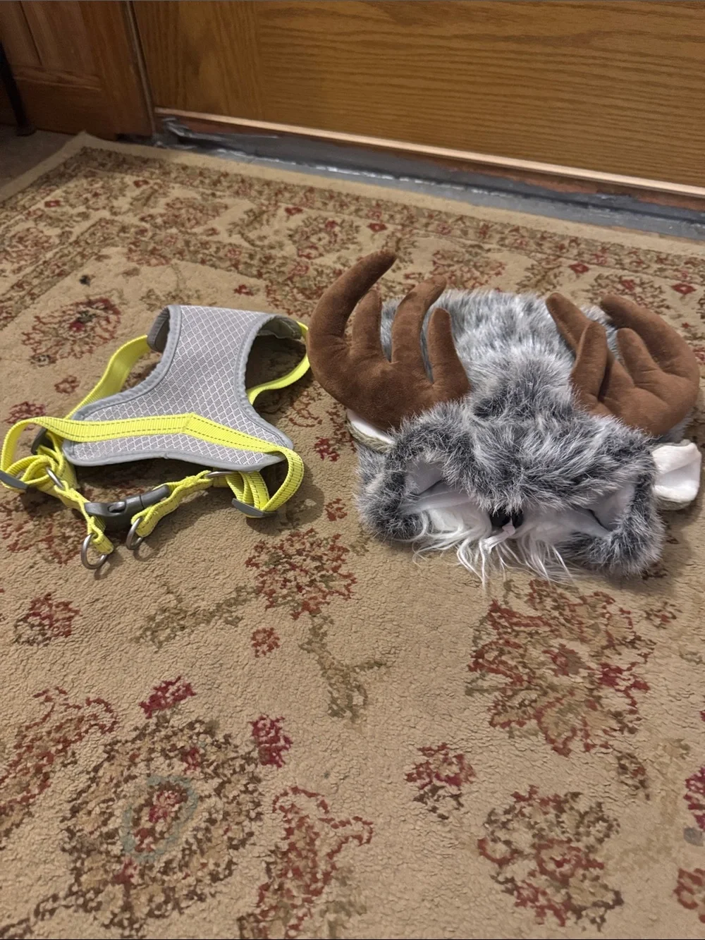 High-Visibility Yellow & Gray Dog Harness W/ Halloween moose pet hat